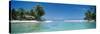 Palm Trees on the Beach, Tikehau, French Polynesia-null-Stretched Canvas