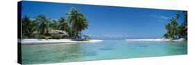 Palm Trees on the Beach, Tikehau, French Polynesia-null-Stretched Canvas