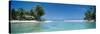 Palm Trees on the Beach, Tikehau, French Polynesia-null-Stretched Canvas