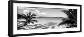 Palm Trees on the Beach, Us Virgin Islands, USA-null-Framed Premium Photographic Print