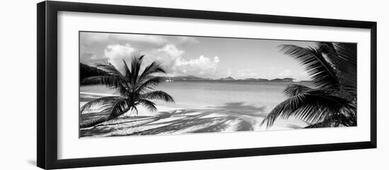 Palm Trees on the Beach, Us Virgin Islands, USA-null-Framed Photographic Print
