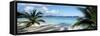 Palm trees on the beach, US Virgin Islands, USA-Panoramic Images-Framed Stretched Canvas