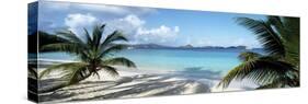 Palm trees on the beach, US Virgin Islands, USA-Panoramic Images-Stretched Canvas