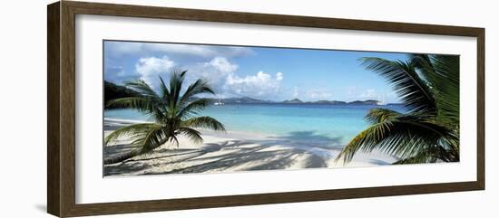 Palm trees on the beach, US Virgin Islands, USA-Panoramic Images-Framed Photographic Print