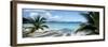 Palm trees on the beach, US Virgin Islands, USA-Panoramic Images-Framed Photographic Print