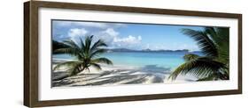 Palm trees on the beach, US Virgin Islands, USA-Panoramic Images-Framed Photographic Print