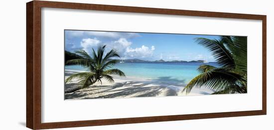 Palm trees on the beach, US Virgin Islands, USA-Panoramic Images-Framed Photographic Print