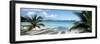 Palm trees on the beach, US Virgin Islands, USA-Panoramic Images-Framed Photographic Print