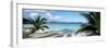 Palm trees on the beach, US Virgin Islands, USA-Panoramic Images-Framed Photographic Print