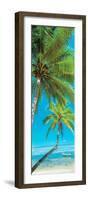 Palm trees on the beach, Viti Levu, Palm Cove, Fiji-null-Framed Photographic Print