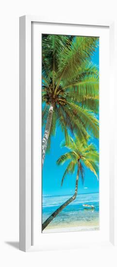 Palm trees on the beach, Viti Levu, Palm Cove, Fiji-null-Framed Photographic Print