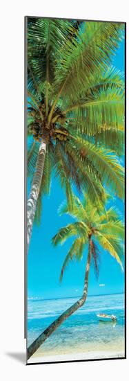 Palm trees on the beach, Viti Levu, Palm Cove, Fiji-null-Mounted Photographic Print