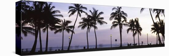 Palm Trees on the Beach, Waikiki, Honolulu, Oahu, Hawaii, USA-null-Stretched Canvas