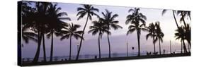 Palm Trees on the Beach, Waikiki, Honolulu, Oahu, Hawaii, USA-null-Stretched Canvas