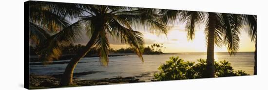 Palm Trees on the Coast, Kohala Coast, Big Island, Hawaii, USA-null-Stretched Canvas