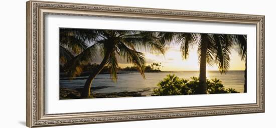 Palm Trees on the Coast, Kohala Coast, Big Island, Hawaii, USA-null-Framed Photographic Print