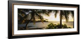 Palm Trees on the Coast, Kohala Coast, Big Island, Hawaii, USA-null-Framed Photographic Print