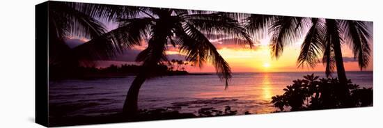 Palm Trees on the Coast, Kohala Coast, Big Island, Hawaii, USA-null-Stretched Canvas