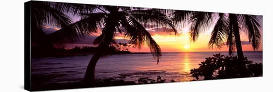 Palm Trees on the Coast, Kohala Coast, Big Island, Hawaii, USA-null-Stretched Canvas