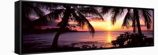 Palm Trees on the Coast, Kohala Coast, Big Island, Hawaii, USA-null-Framed Stretched Canvas