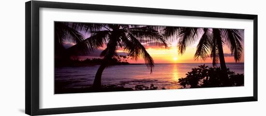 Palm Trees on the Coast, Kohala Coast, Big Island, Hawaii, USA-null-Framed Premium Photographic Print