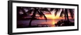 Palm Trees on the Coast, Kohala Coast, Big Island, Hawaii, USA-null-Framed Premium Photographic Print