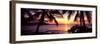 Palm Trees on the Coast, Kohala Coast, Big Island, Hawaii, USA-null-Framed Photographic Print