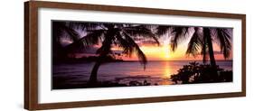 Palm Trees on the Coast, Kohala Coast, Big Island, Hawaii, USA-null-Framed Photographic Print