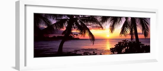 Palm Trees on the Coast, Kohala Coast, Big Island, Hawaii, USA-null-Framed Photographic Print