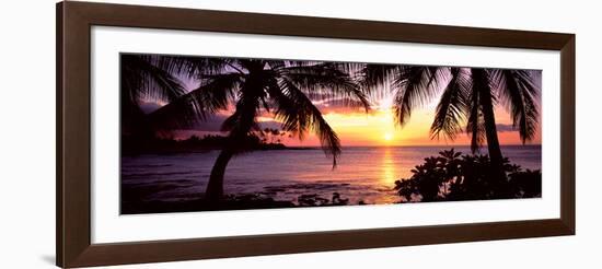 Palm Trees on the Coast, Kohala Coast, Big Island, Hawaii, USA-null-Framed Photographic Print