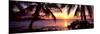 Palm Trees on the Coast, Kohala Coast, Big Island, Hawaii, USA-null-Mounted Photographic Print