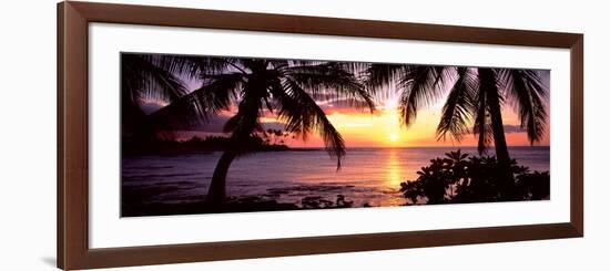 Palm Trees on the Coast, Kohala Coast, Big Island, Hawaii, USA-null-Framed Photographic Print