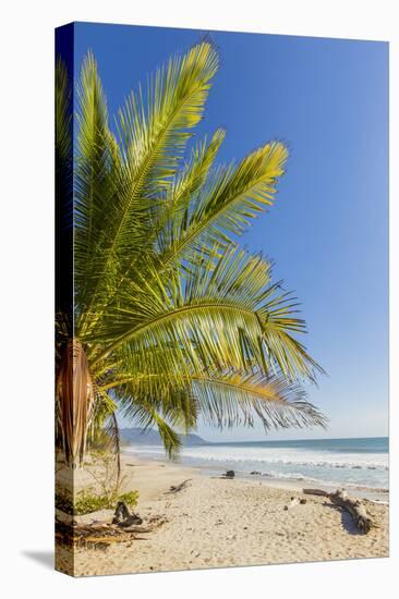 Palm Trees on This Beautiful Surf Beach Near Mal Pais, Santa Teresa, Costa Rica-Rob Francis-Stretched Canvas