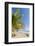 Palm Trees on This Beautiful Surf Beach Near Mal Pais, Santa Teresa, Costa Rica-Rob Francis-Framed Photographic Print