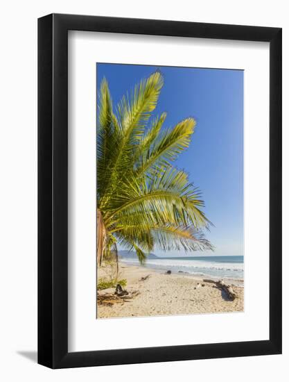 Palm Trees on This Beautiful Surf Beach Near Mal Pais, Santa Teresa, Costa Rica-Rob Francis-Framed Photographic Print