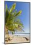 Palm Trees on This Beautiful Surf Beach Near Mal Pais, Santa Teresa, Costa Rica-Rob Francis-Mounted Photographic Print