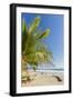 Palm Trees on This Beautiful Surf Beach Near Mal Pais, Santa Teresa, Costa Rica-Rob Francis-Framed Photographic Print