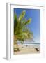 Palm Trees on This Beautiful Surf Beach Near Mal Pais, Santa Teresa, Costa Rica-Rob Francis-Framed Photographic Print