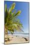 Palm Trees on This Beautiful Surf Beach Near Mal Pais, Santa Teresa, Costa Rica-Rob Francis-Mounted Photographic Print