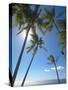 Palm Trees on Tropical Beach, Bali, Indonesia, Southeast Asia, Asia-Sakis Papadopoulos-Stretched Canvas