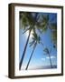 Palm Trees on Tropical Beach, Bali, Indonesia, Southeast Asia, Asia-Sakis Papadopoulos-Framed Photographic Print