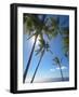 Palm Trees on Tropical Beach, Bali, Indonesia, Southeast Asia, Asia-Sakis Papadopoulos-Framed Photographic Print