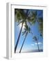 Palm Trees on Tropical Beach, Bali, Indonesia, Southeast Asia, Asia-Sakis Papadopoulos-Framed Photographic Print