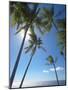 Palm Trees on Tropical Beach, Bali, Indonesia, Southeast Asia, Asia-Sakis Papadopoulos-Mounted Photographic Print