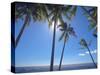 Palm Trees on Tropical Beach, Bali, Indonesia, Southeast Asia, Asia-Sakis Papadopoulos-Stretched Canvas