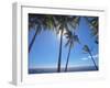 Palm Trees on Tropical Beach, Bali, Indonesia, Southeast Asia, Asia-Sakis Papadopoulos-Framed Photographic Print