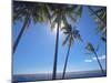 Palm Trees on Tropical Beach, Bali, Indonesia, Southeast Asia, Asia-Sakis Papadopoulos-Mounted Photographic Print