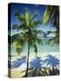 Palm Trees on Tropical Beach, Dominican Republic, West Indies, Caribbean, Central America-Harding Robert-Stretched Canvas