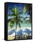 Palm Trees on Tropical Beach, Dominican Republic, West Indies, Caribbean, Central America-Harding Robert-Framed Stretched Canvas