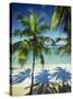 Palm Trees on Tropical Beach, Dominican Republic, West Indies, Caribbean, Central America-Harding Robert-Stretched Canvas